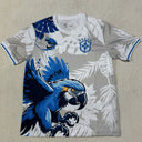 Maillot 25/26 Brésil  Spécial white bird
