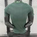 Maillot 24/25 Algérie  player green