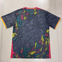 25/26 Maillot Cameroun Spécial  black